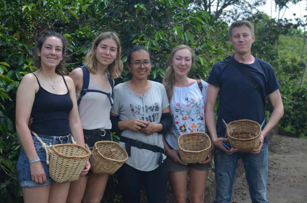 coffe-tour-finca-buenos-aires-salento-quindio-07
